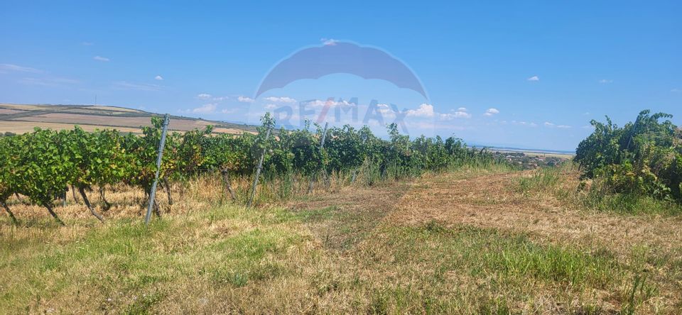 Land 70,000sqm Maderat / Strada principala