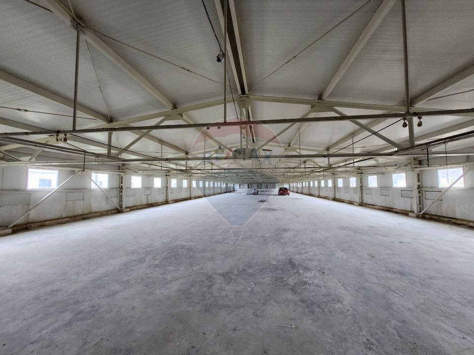 Hala depozitare sau productie Ciorogarla | Darvari 2.9 E/mp