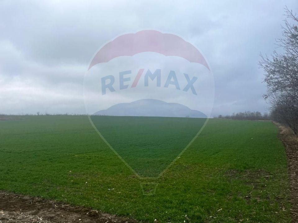 Land 5,650sqm Bacau / Calea Doctor Alexandru Safran