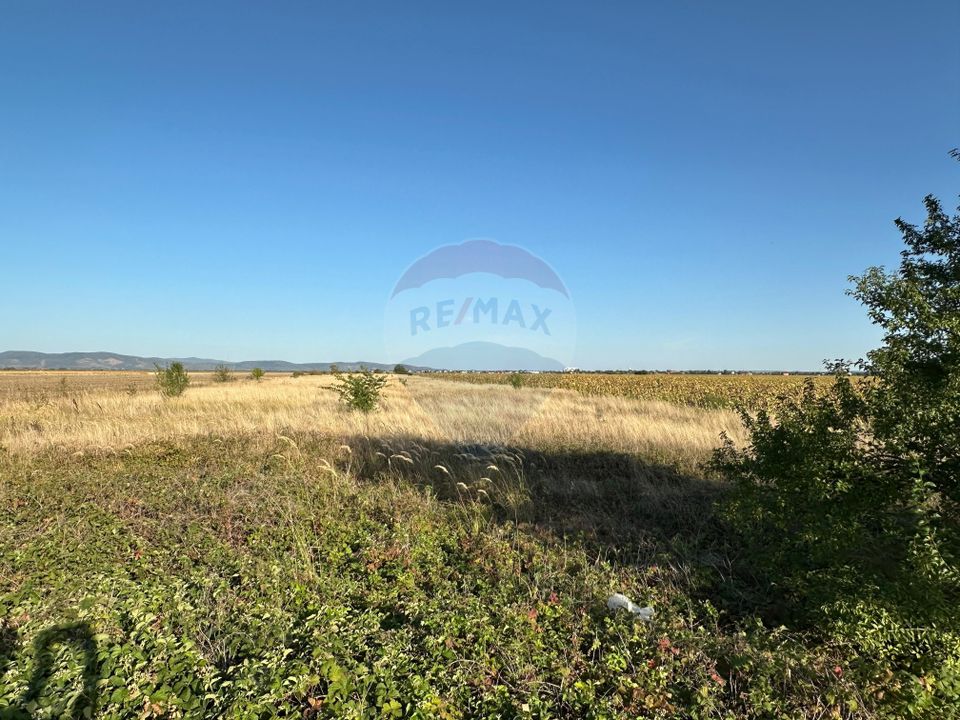 Teren extravilan de vânzare – 19.963 mp, E68 Mândruloc–Vladimirescu