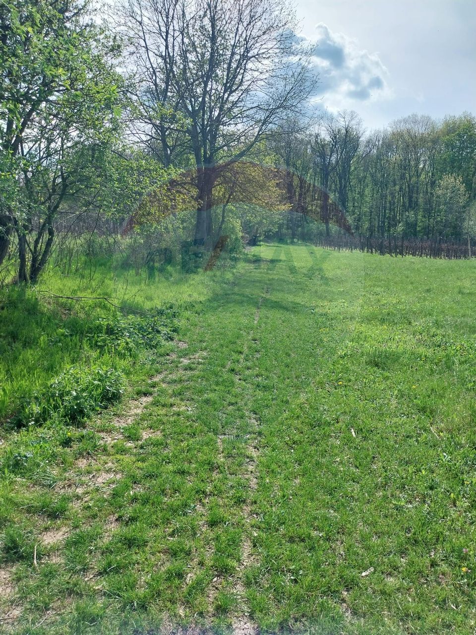 Teren 2,600 mp  sat. Lespezi com.  Gârleni,  Strada Preot Cezar Negru