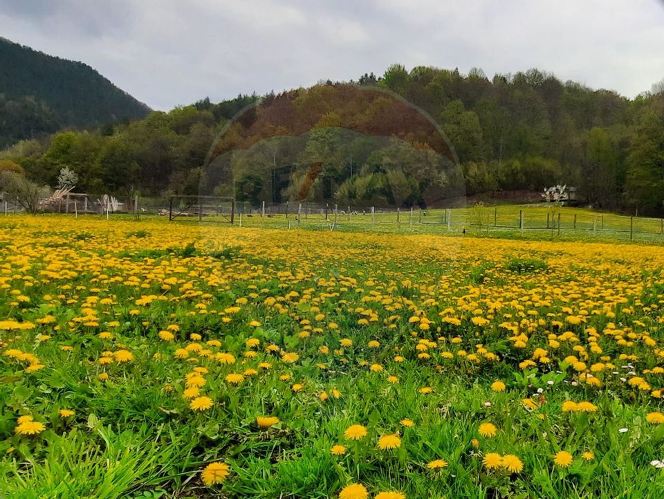 27 room Hotel / Pension for sale