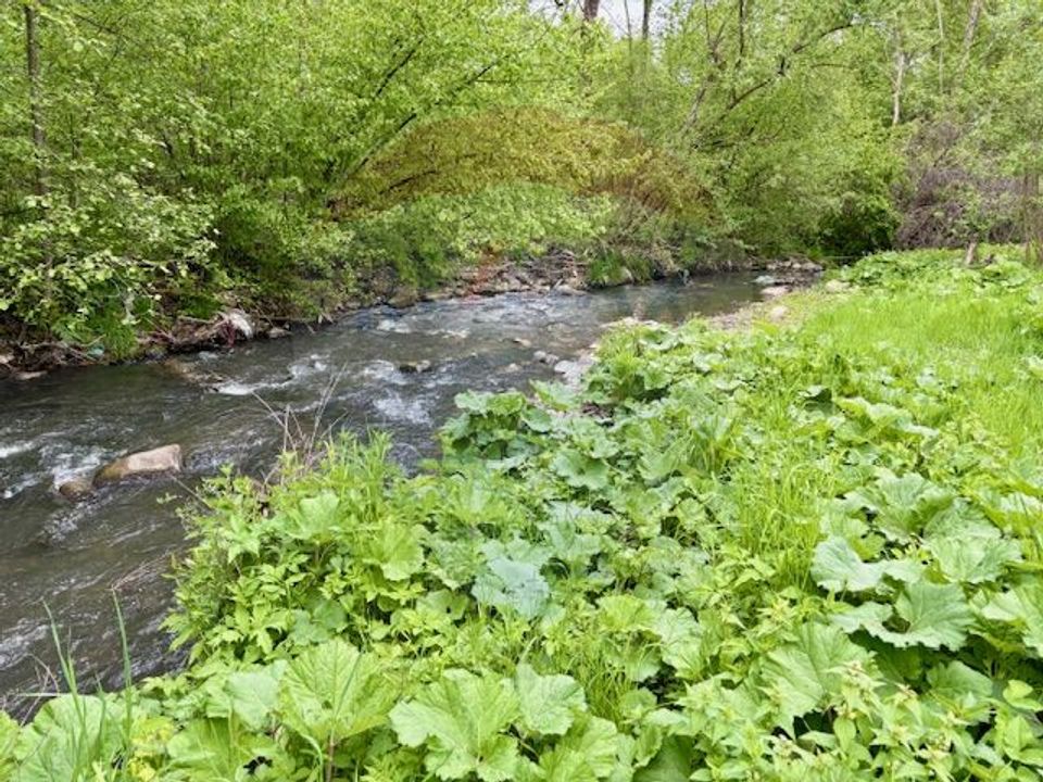 Teren 20,876mp Breb / Drumul Principal