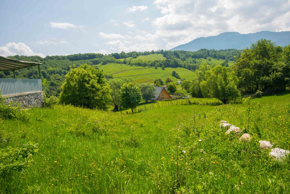 Land for sale 10990sqm Bran Sohodol, great view, utilities