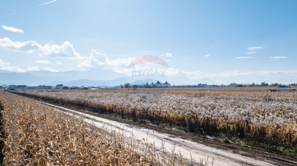 Teren Brasov -Strada Aron Pumnul, 5 loturi X 520 mp, impreuna/ separat