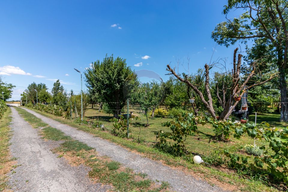 Casa+Laborator+ Teren 12.700 mp + casa de vacanta - Bolintin Vale