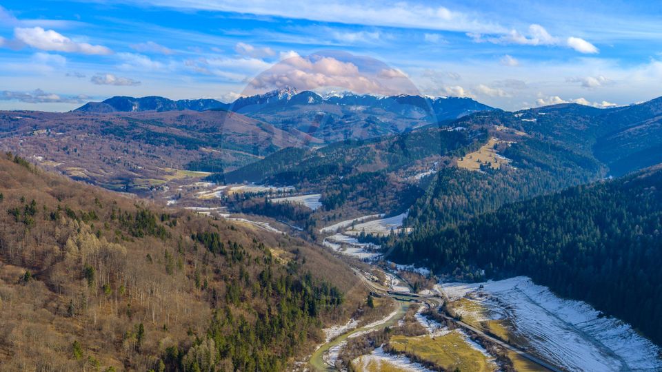 Land 10,000sqm Sacele / Strada Barajului