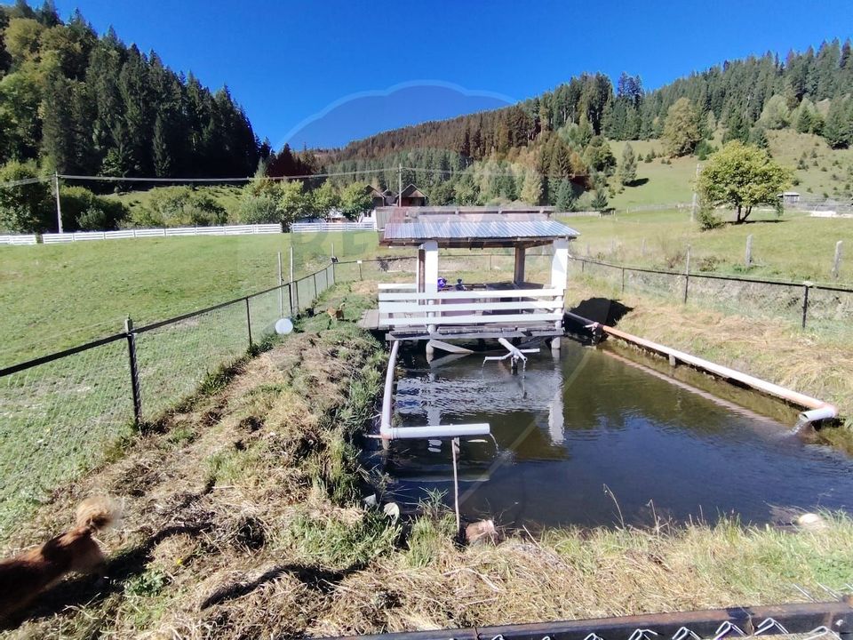 Casă în Vatra Dornei, zona Argestru, cu 11.541m.p. TEREN INTRAVILAN