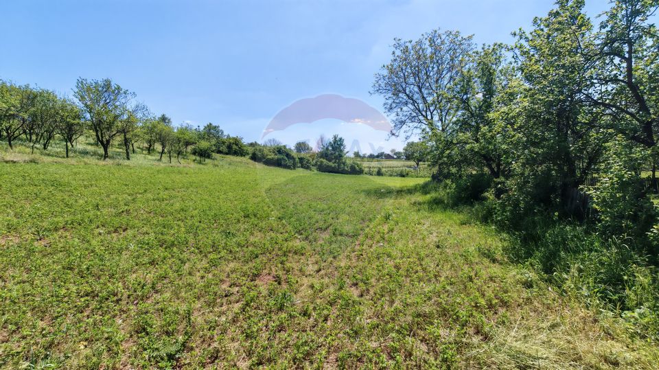 Land 3,864sqm Urlati / Strada Valea Seman