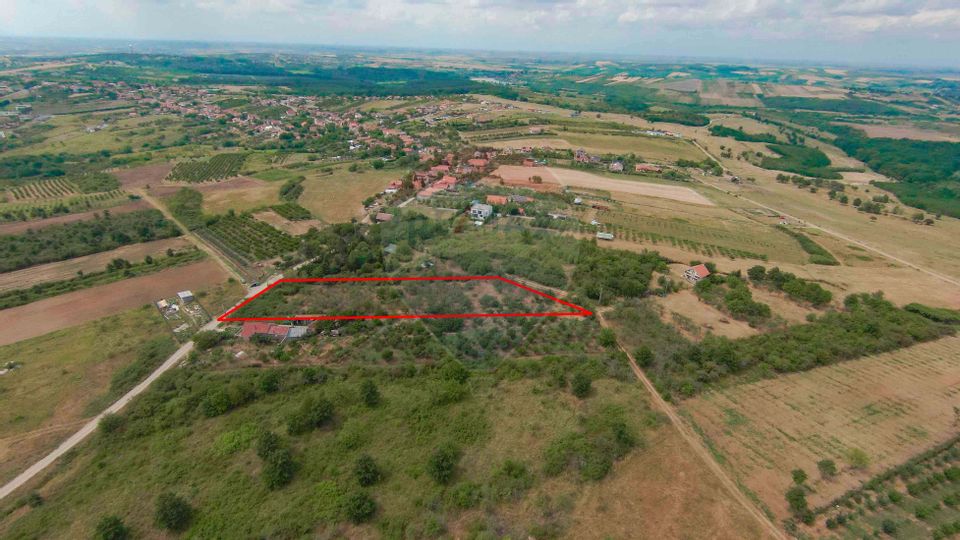 De vânzare Teren 3995mp intravilan Săldabagiu de Munte