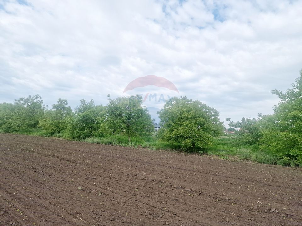 Afacere la cheie- Brutărie