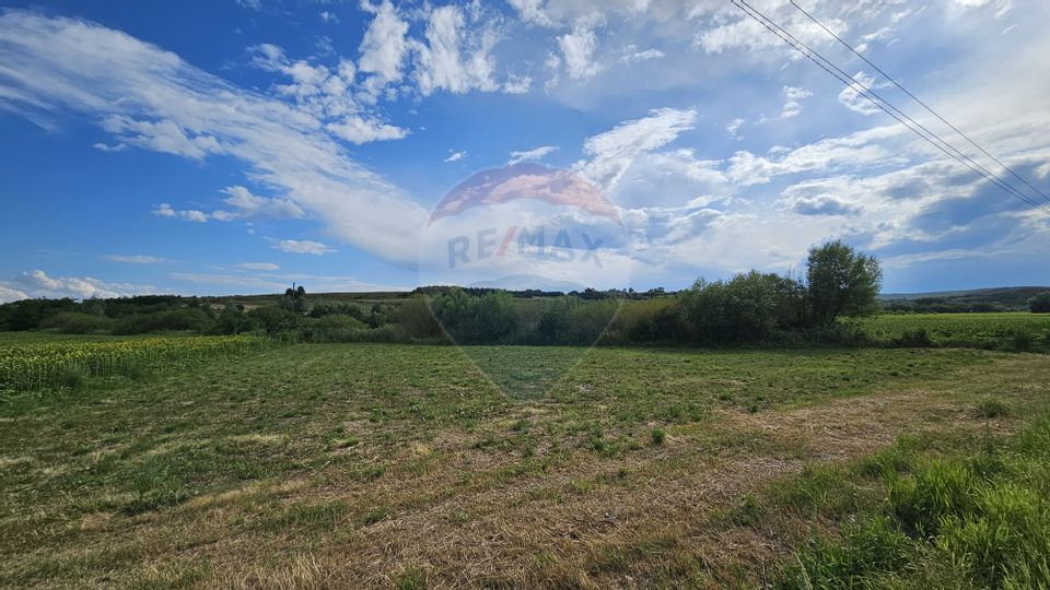 Land 12,000sqm Padureni (Sendriceni) / Strada Secundara