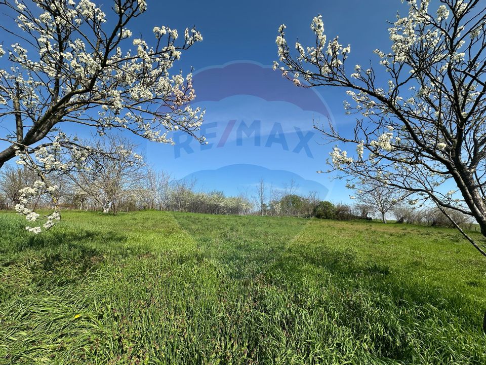 Vanzare casă noua in loc Felnac cu teren de 1190mp