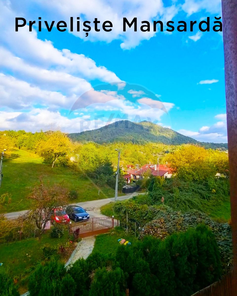 4 room House / Villa for sale, Valea Borcutului area