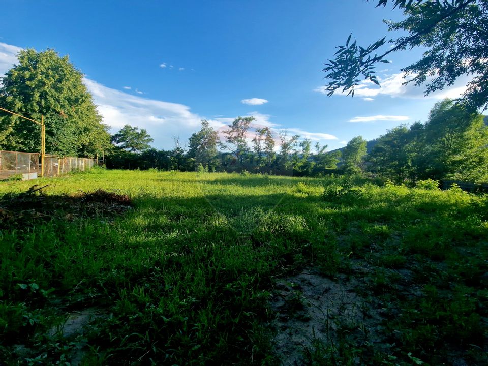 Teren 1,749mp Piatra-Neamt / Strada Zambilelor