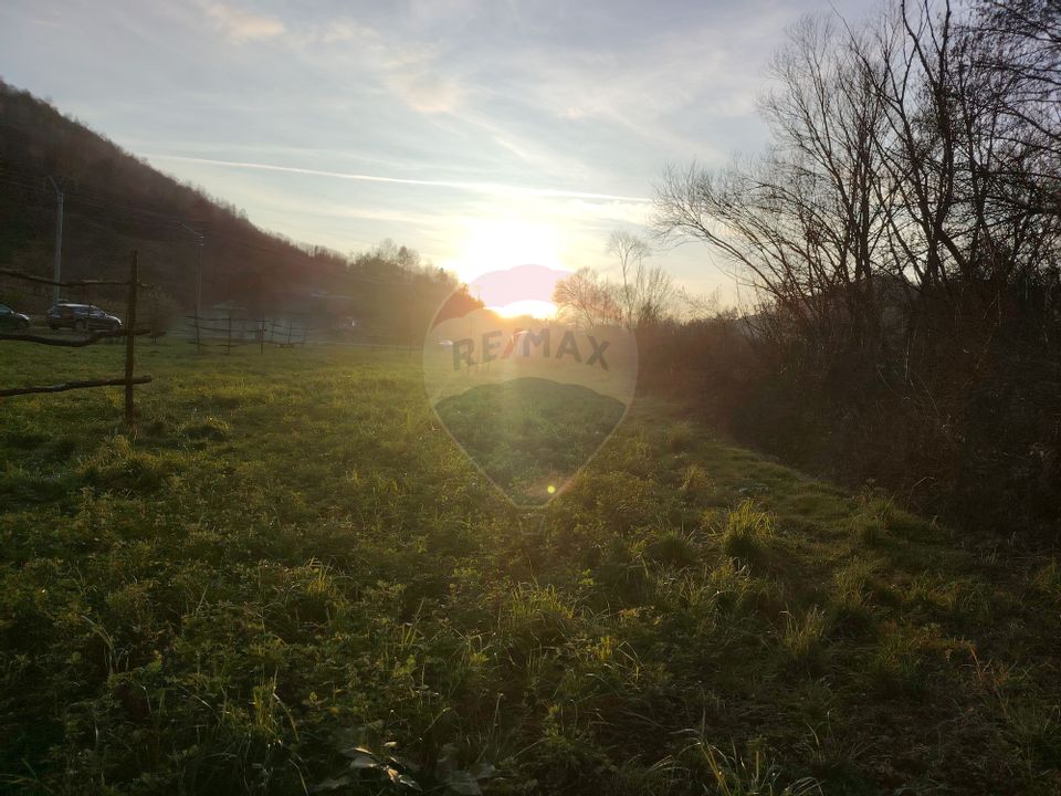 COMISION 0%  Teren intravilan de vanzare in Barsana (26 ARI)