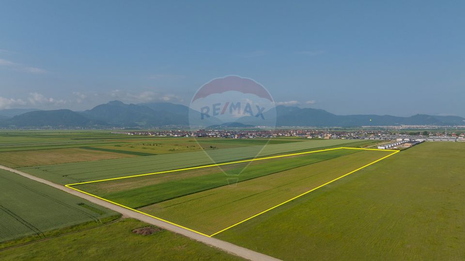 Teren 42,000mp Tarlungeni / Strada Izvor