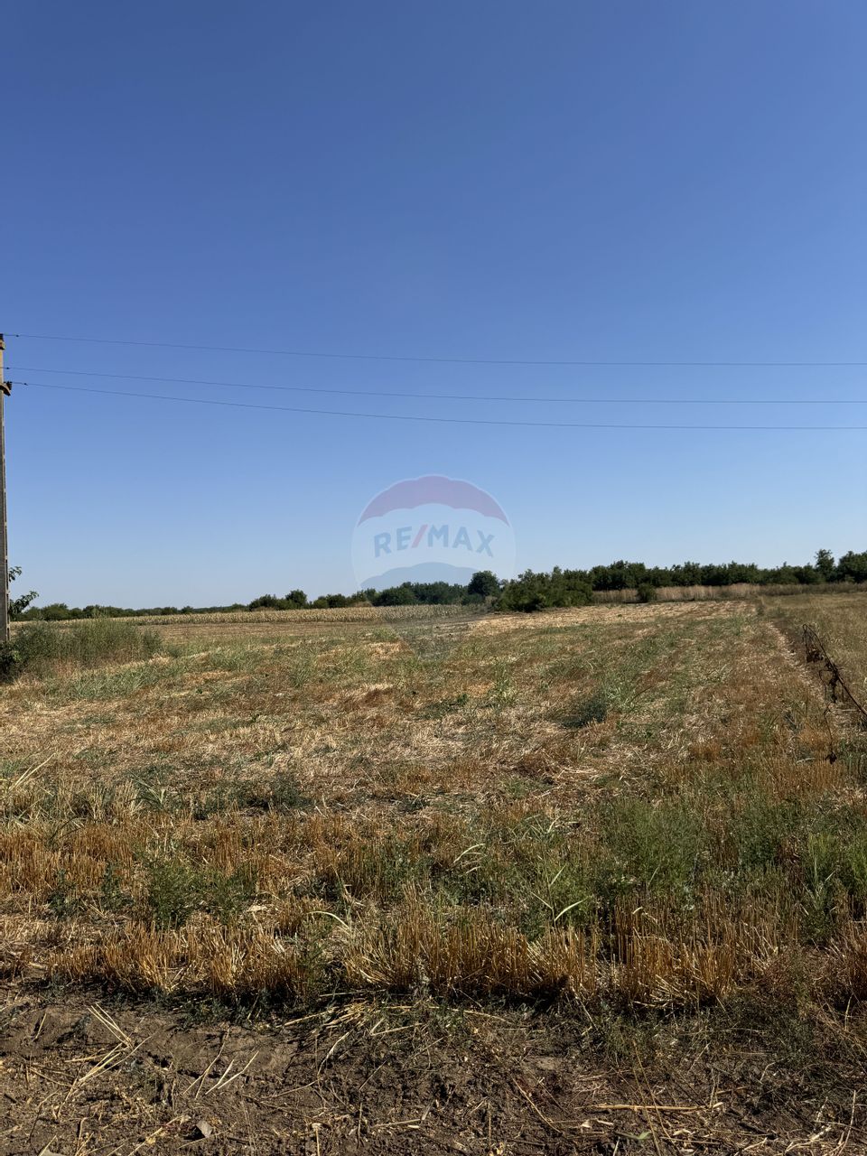 Casă de vânzare Fierbinți-Târg