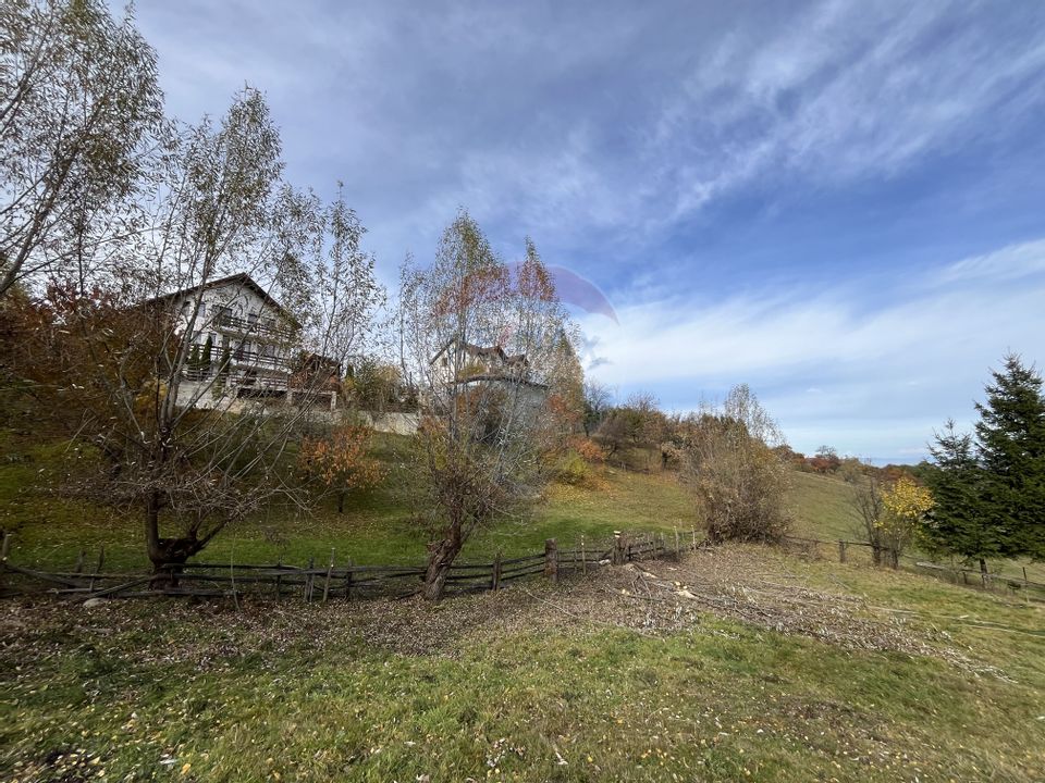 Teren de Vis în Bran – 1000mp Plat, Liniște Absolută și Aer Curat