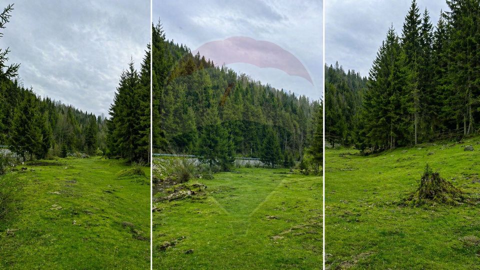 Arieșeni–Strada Fața Cristesei -Teren 4.331 mp cu Peisaj de Poveste