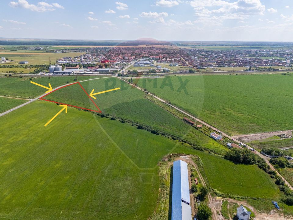 Land 13,233sqm Vladimirescu / Drumul Judetean vladimirescu- horia