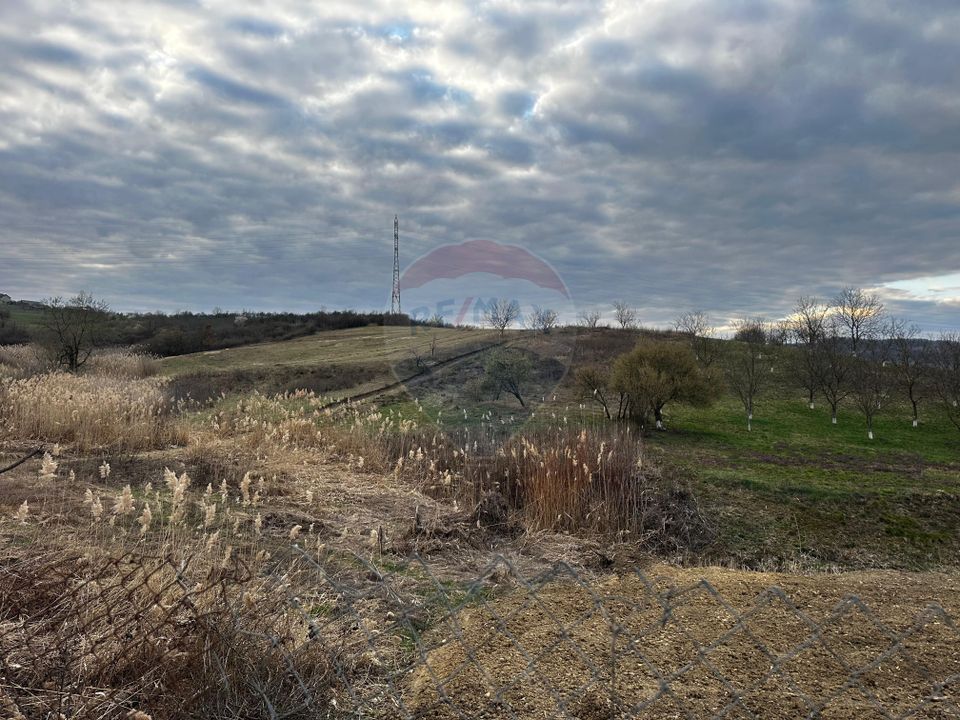 Teren cu panorama superba în Berchezoaia + bonus rulota