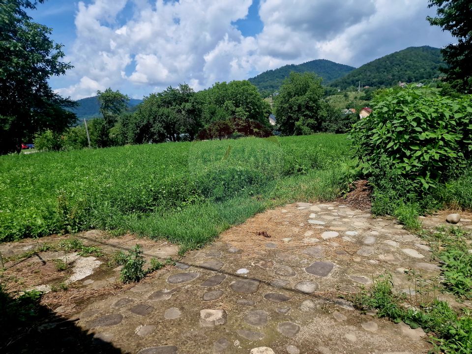 Teren intravilan 1000 mp – Viișoara, utilități