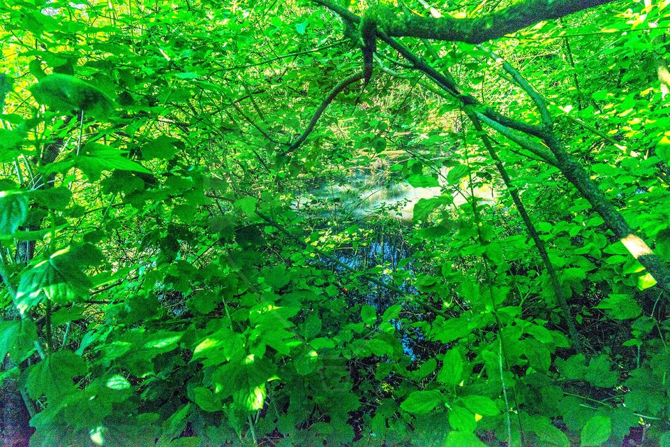 Teren constructii 2900mp  Lunca Calnicului-Str Gradinilor