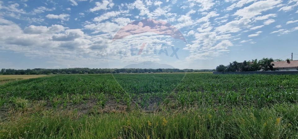 Land 10,001sqm Oniscani / None