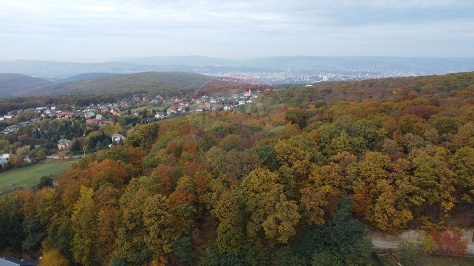 Teren de vanzare în Faget 1542 mp cu panorama