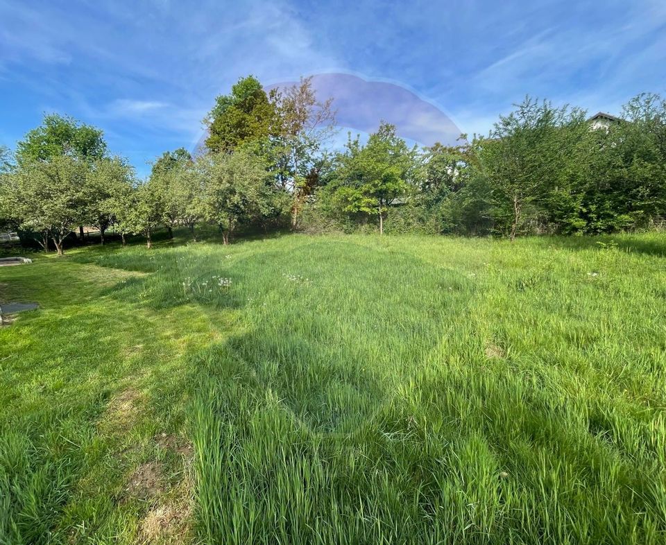 Teren sat Vale / Strada Principala