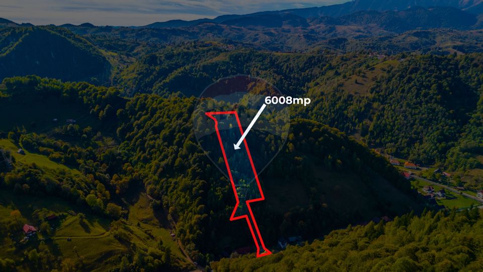 Land 6,008sqm Moieciu de Jos / Strada fn