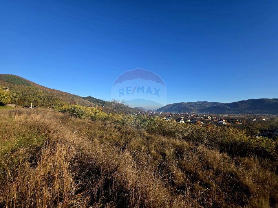 Land 6,874sqm Alexandru cel Bun / Strada plopusor