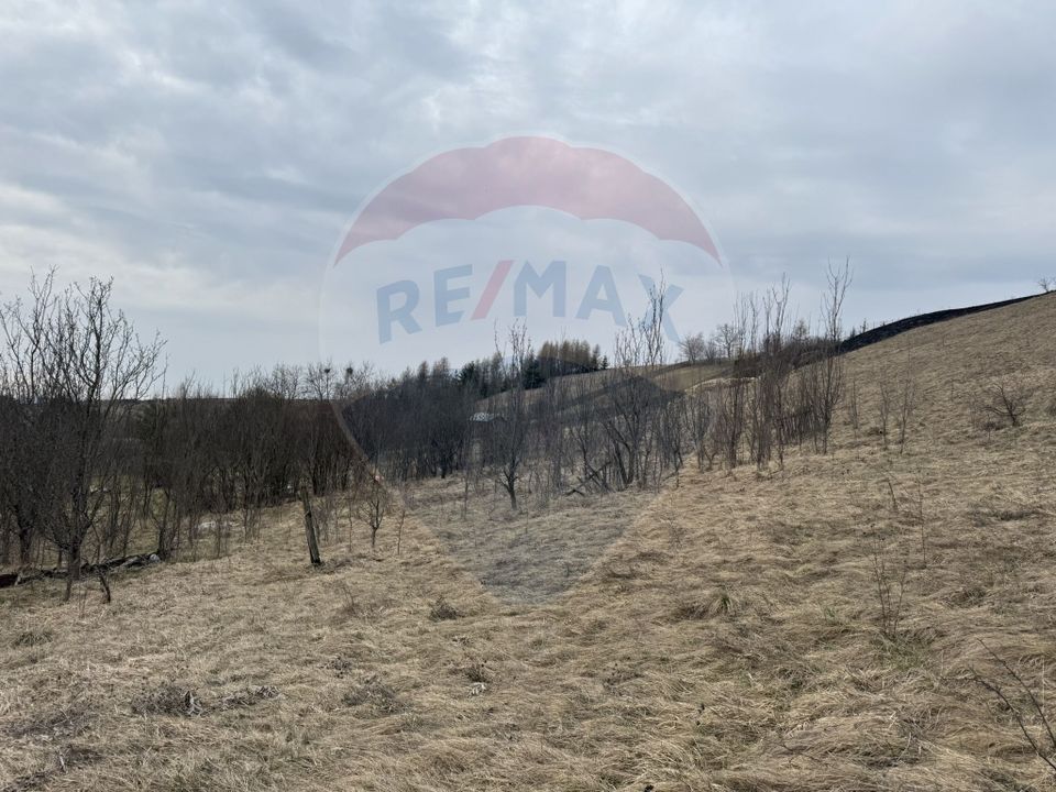 Land 2,307sqm Salicea / Strada Pricipala