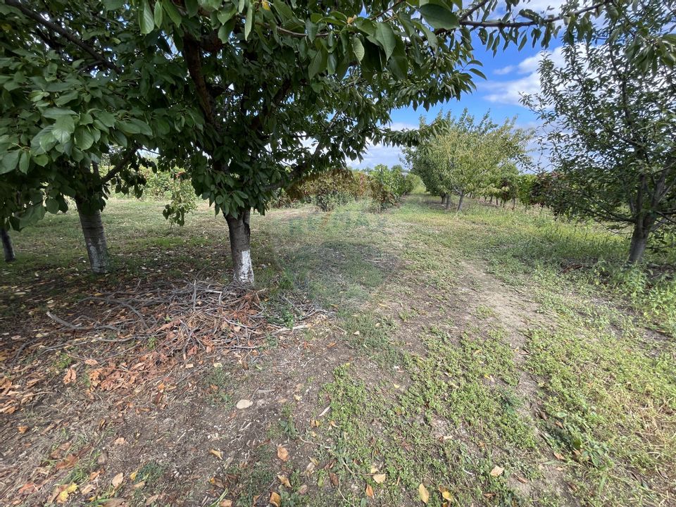 6 room House / Villa for sale