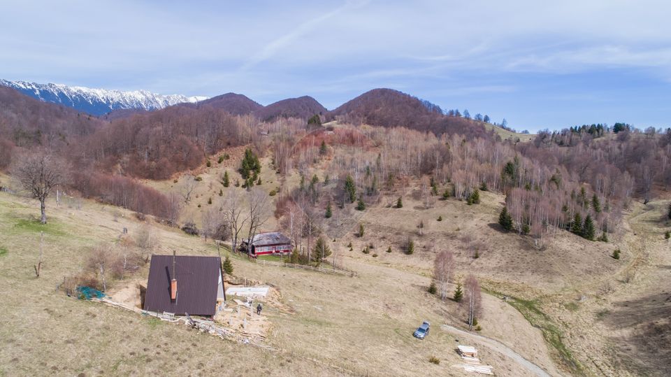 Land 1,788sqm Dambovicioara / Drumul Principal