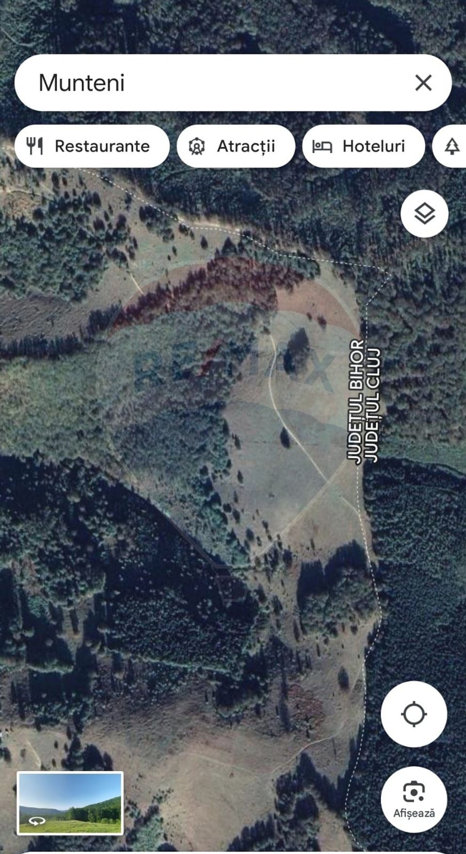 Teren 130000 mp extravilan, faneata si padure, Munteni - Bulz, Negreni