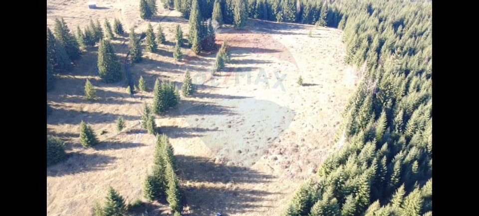 Teren 16,289mp Coverca / Drumul Bucinis