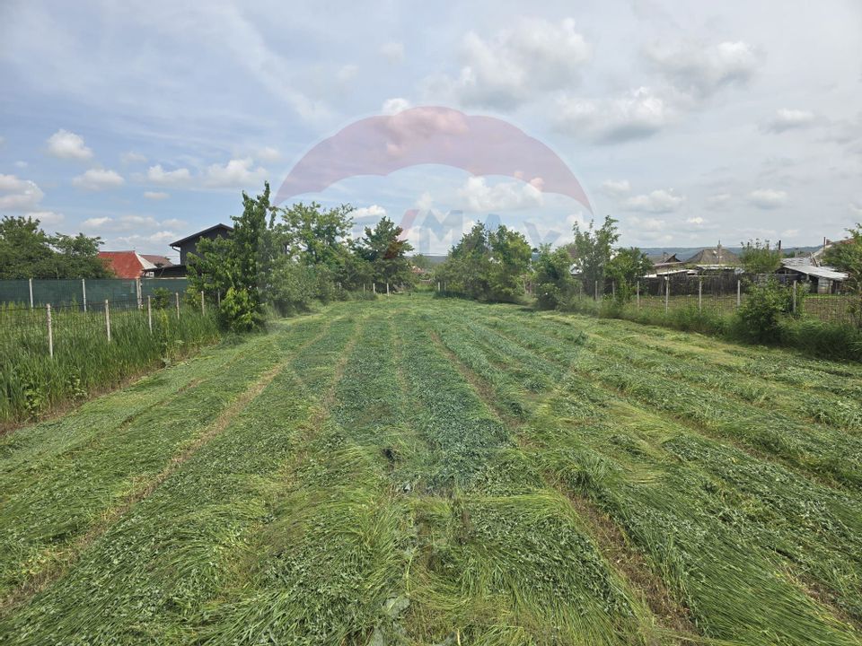 Teren intravilan 1,591mp Holt / Strada Principala