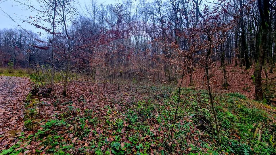 Land 924sqm Tautii-Magheraus / Strada Apa Sarata