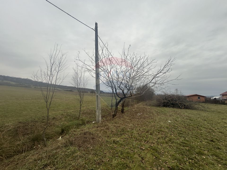 Land 4,250sqm Remetea Chioarului / Drumul Judetean