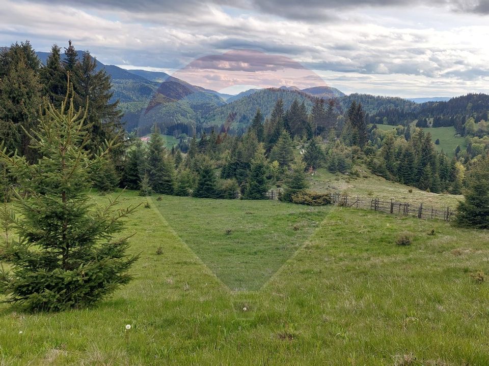 O fereastră către cer – teren de vis în Fundata, la poalele Bucegilor