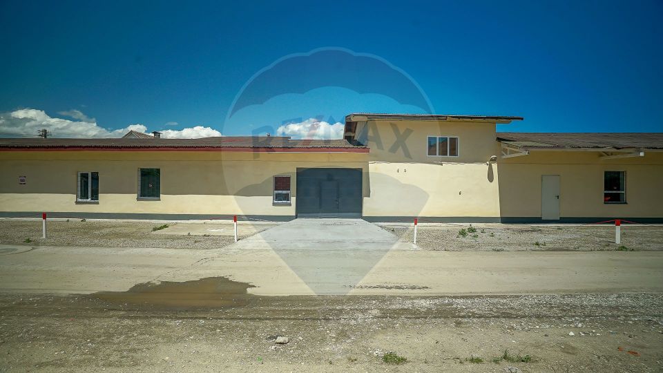 Spatiu depozitare/productie - 500/1000mp , Feldioara