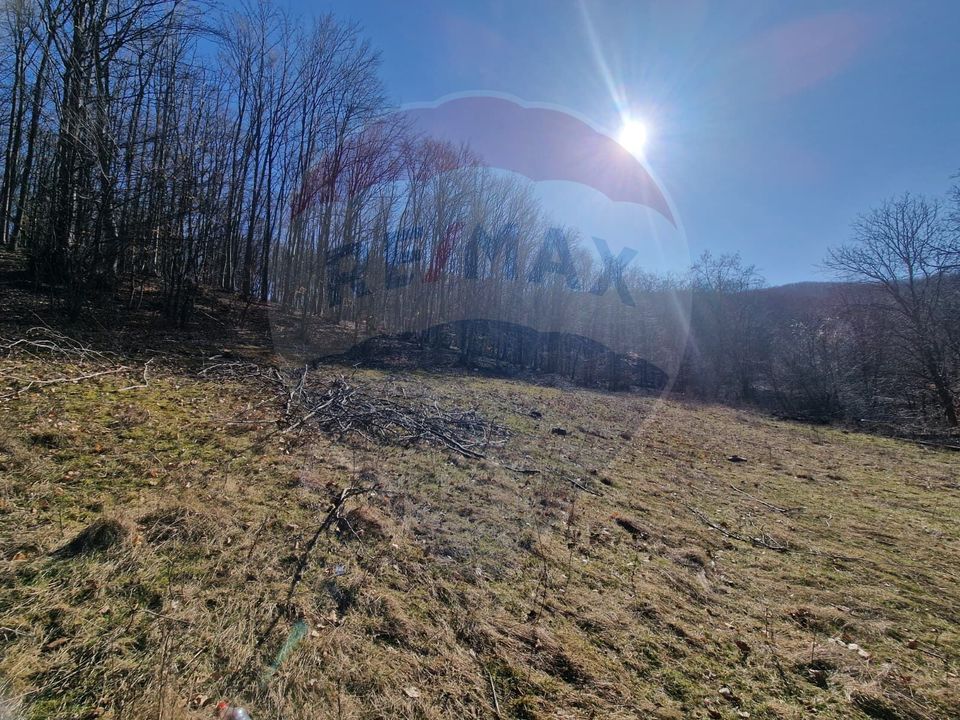 Land 4,985sqm Sascut / None