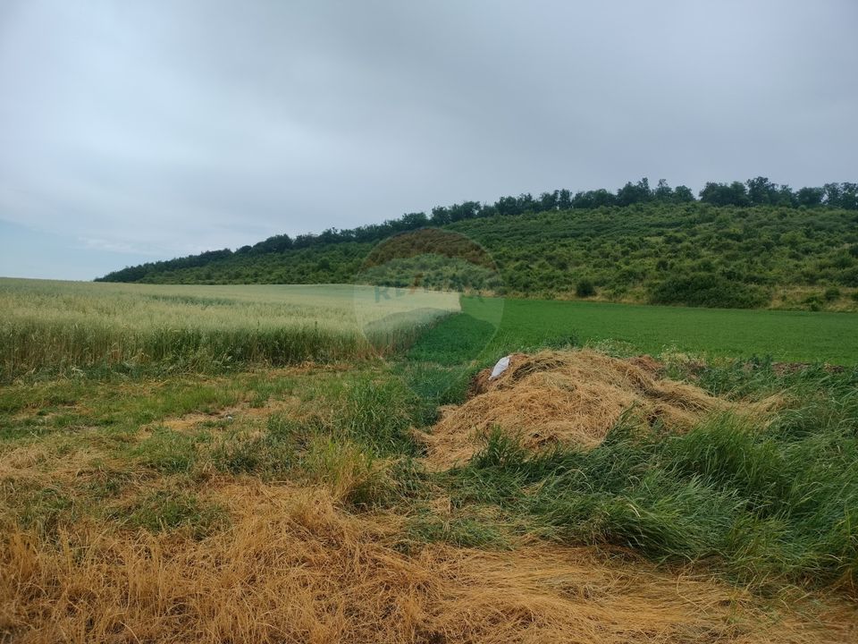 Land 18,200sqm Reghin / Strada FN