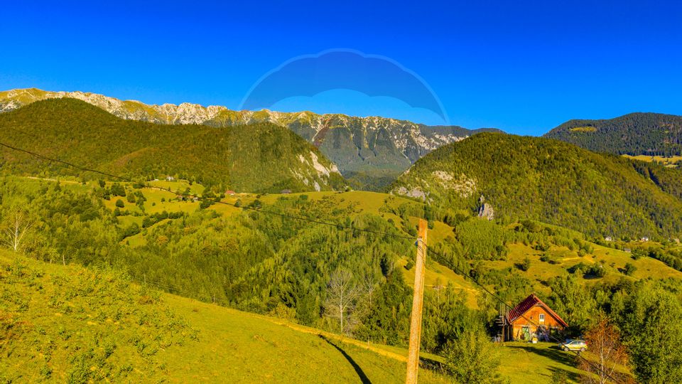 COMISION 0% Teren 10,594mp Pestera /Intravilan