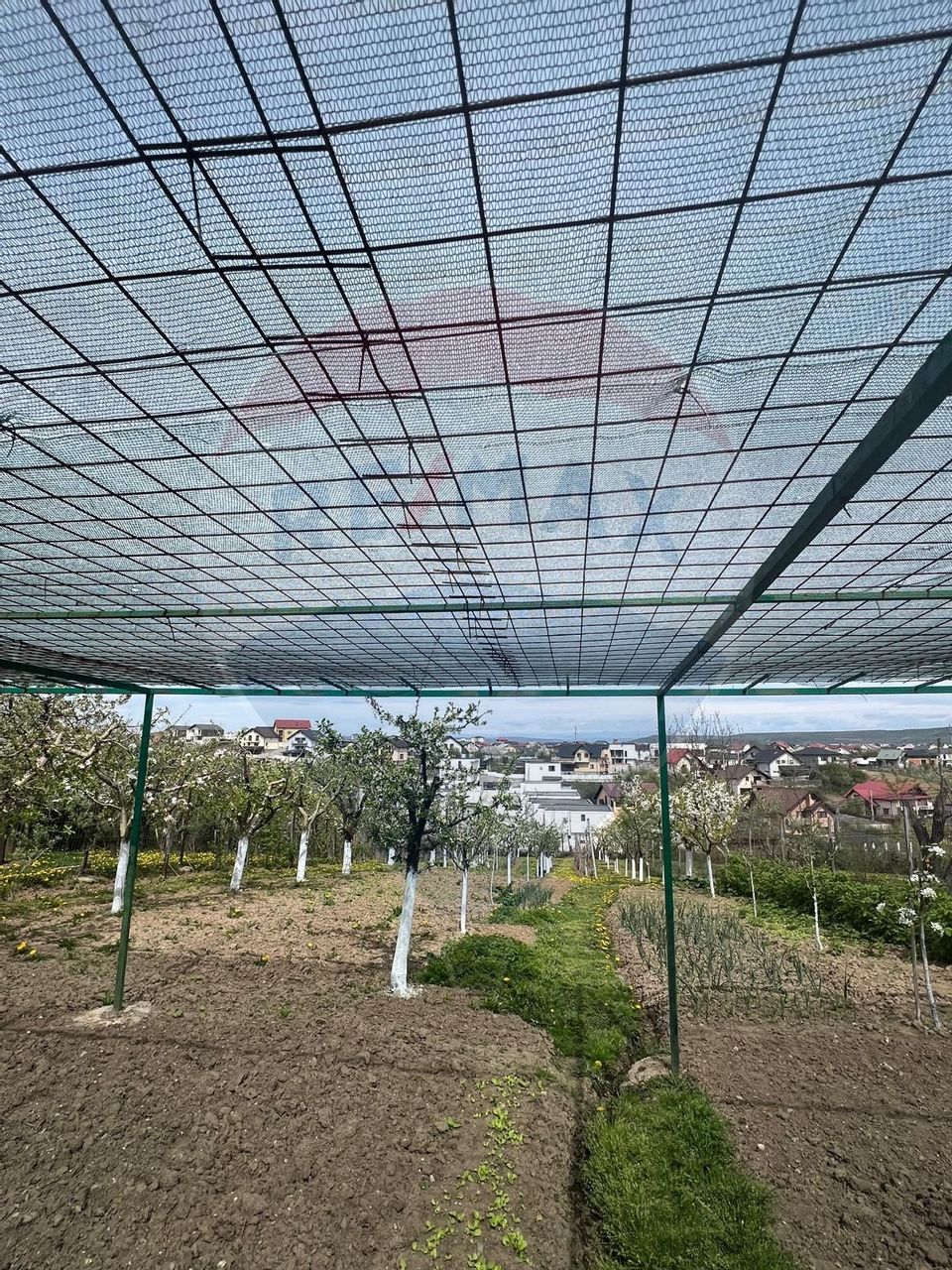 De vânzare 2 Corpuri de Casa si Teren 1388 mp in Geamăna, Bradu