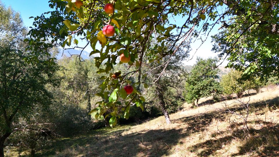 Land 6,232sqm Sohodol / Strada Feroilor