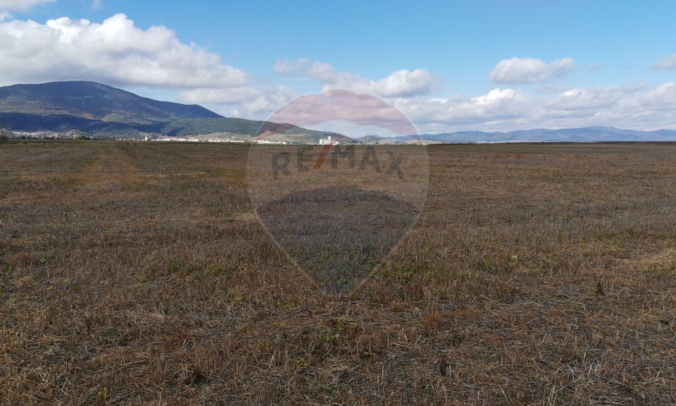 Land 31,200sqm Codlea / Strada Fagarasului