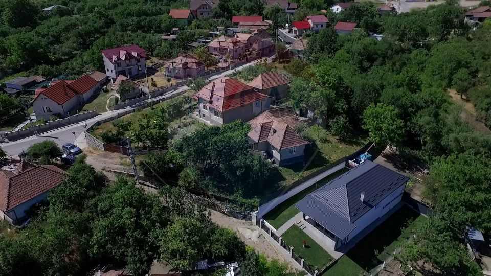 Casa cu gradina de vanzare in Copaceni